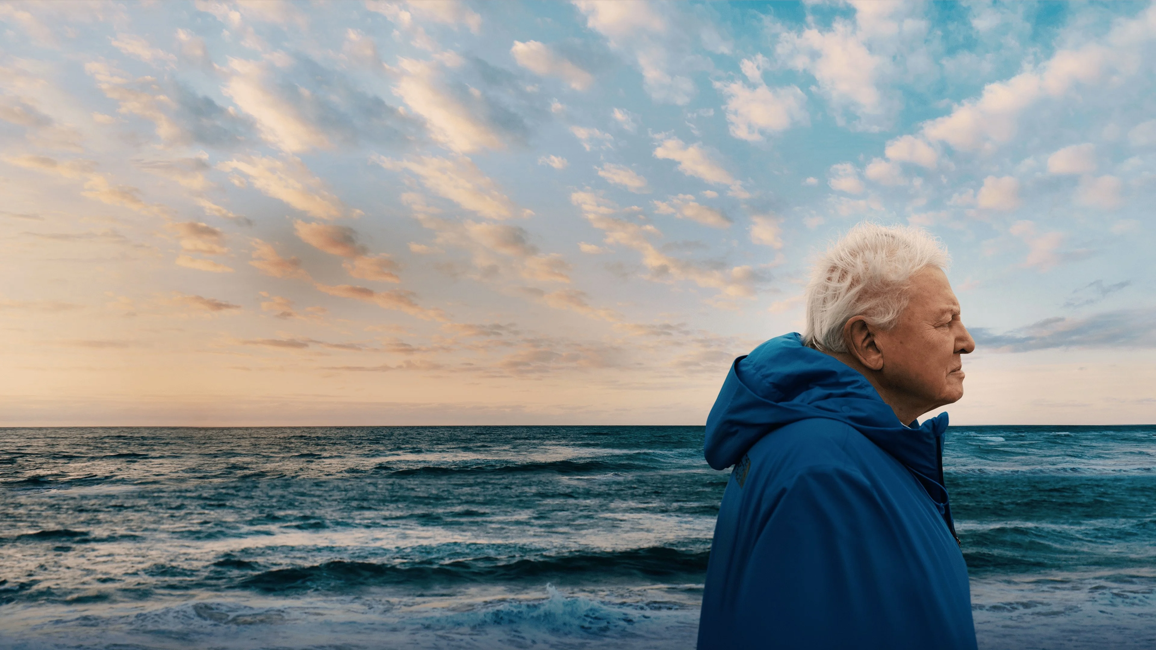 Phim Ocean with David Attenborough - Ocean with David Attenborough